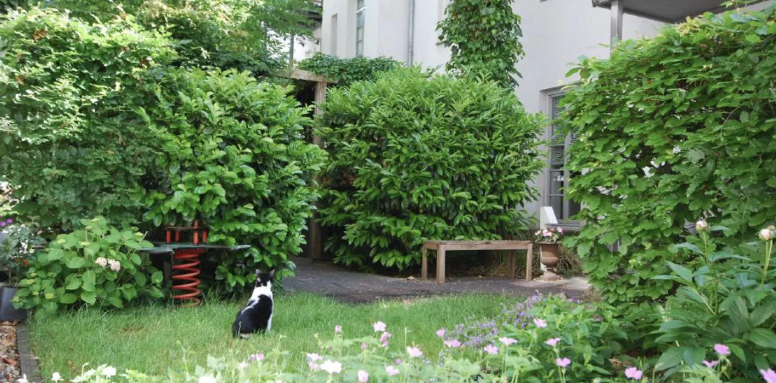 Garten vor dem Haus